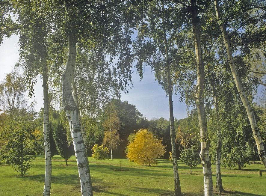 West Lodge Park Barnet Extérieur photo